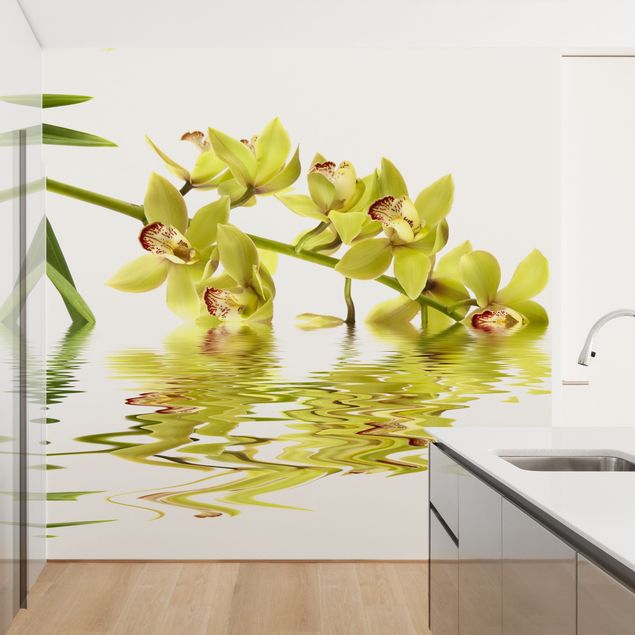 Tapet blomster Elegant Orchid Waters
