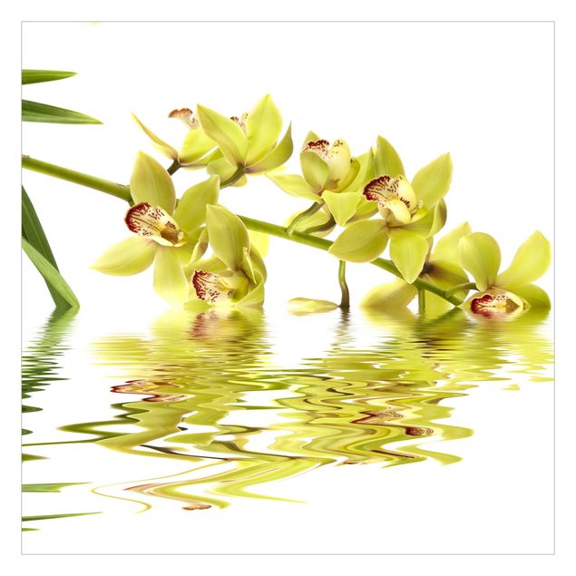 Hvid tapet Elegant Orchid Waters