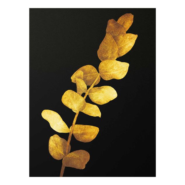 Billeder blomster Gold - Eucalyptus On Black