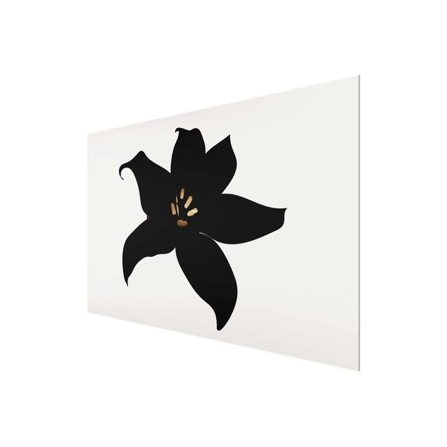Glasbilleder sort og hvid Graphical Plant World - Orchid Black And Gold