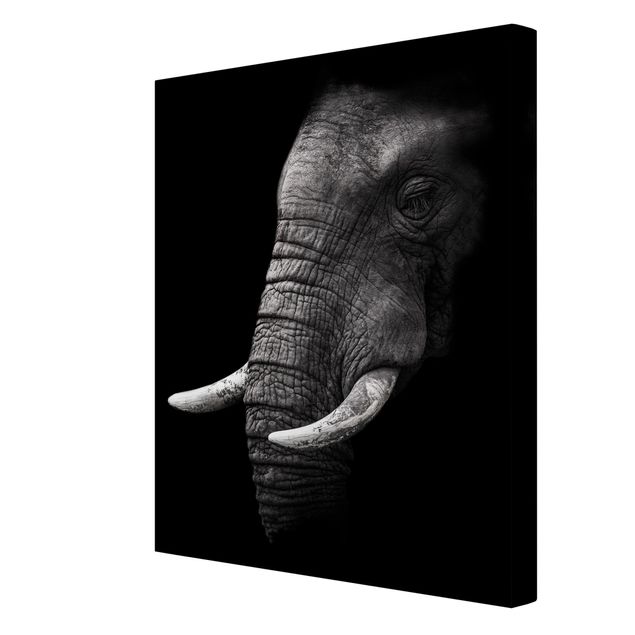Billeder på lærred landskaber Dark Elephant Portrait