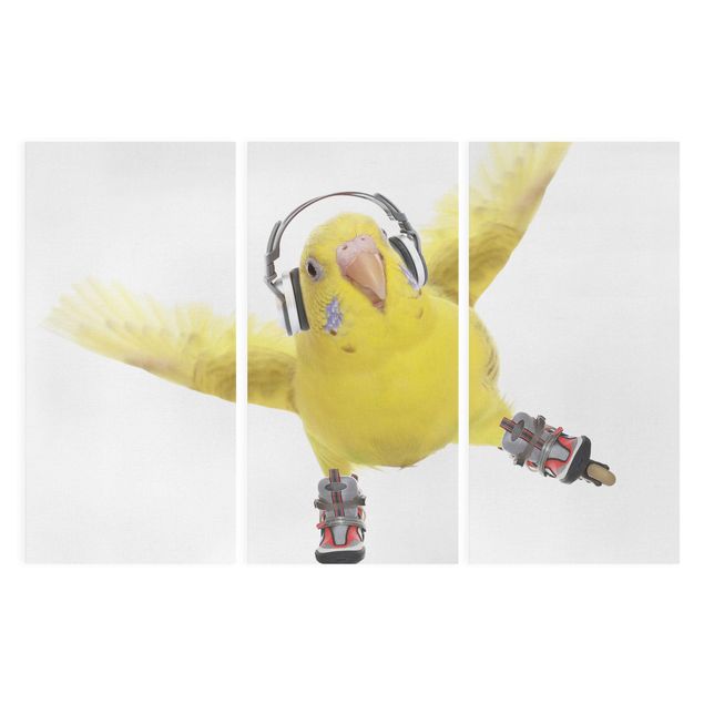 Billeder moderne Skate Parakeet