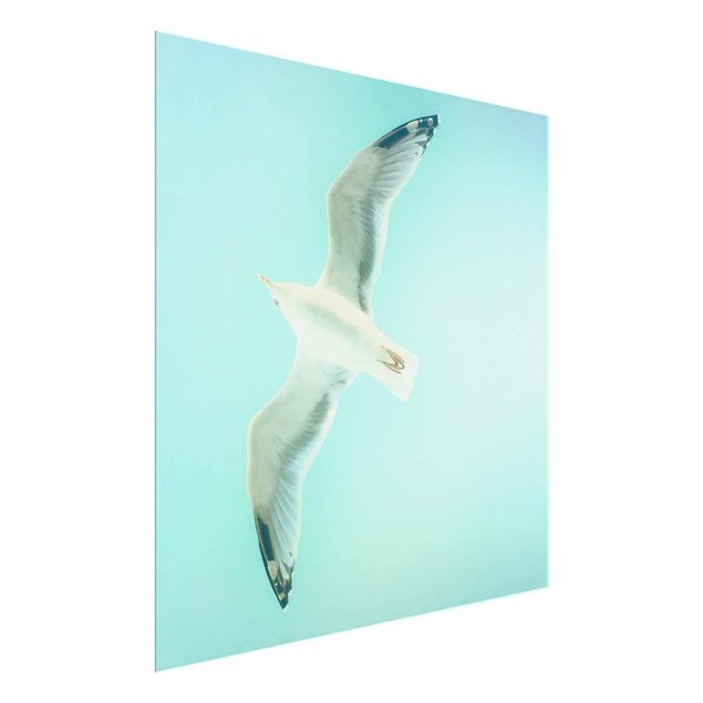 Billeder moderne Blue Sky With Seagull