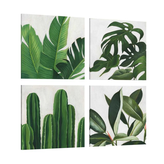 Billeder grøn Favorite Plants Tropical Set I