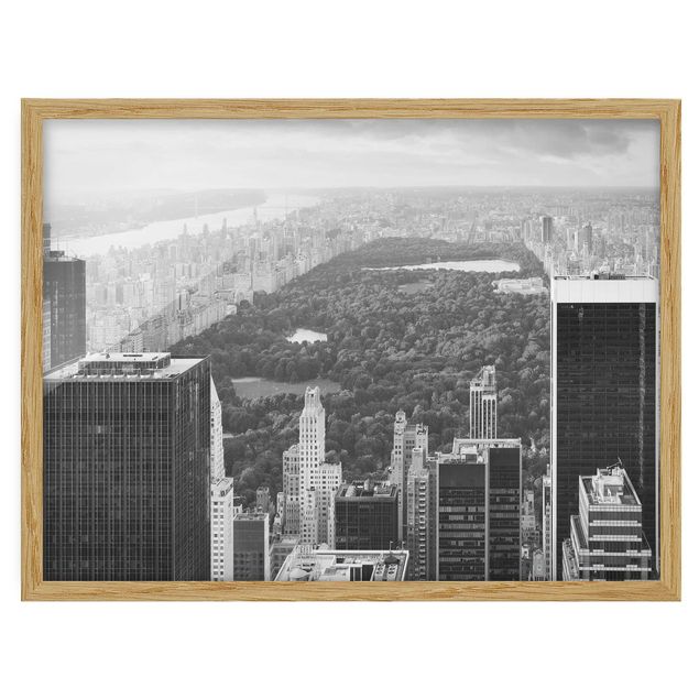 Billeder moderne View over the Central Park II