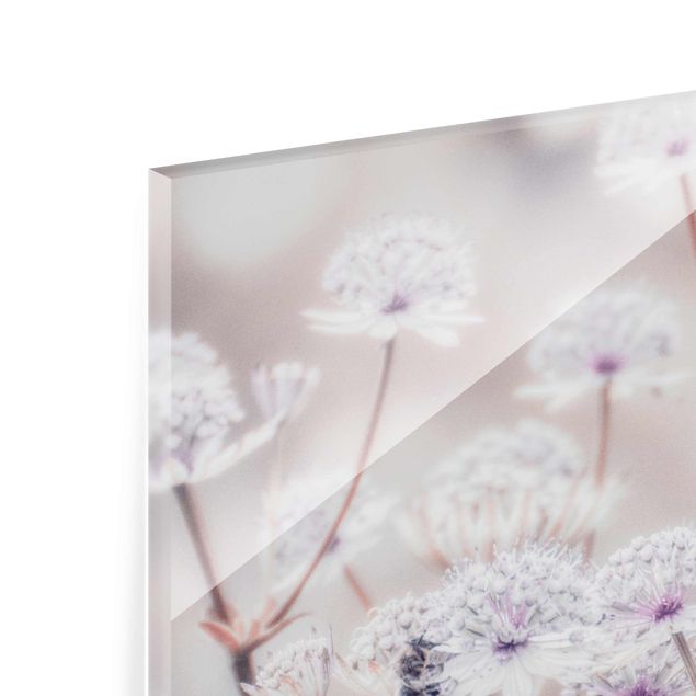 Billeder Monika Strigel Wild Flowers Light As A Feather