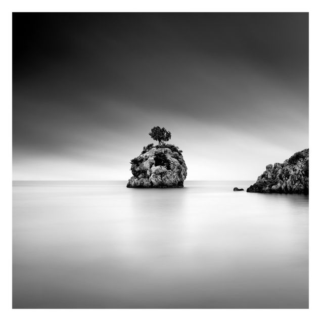 Tapet Rocky Island In The Sea Black And White
