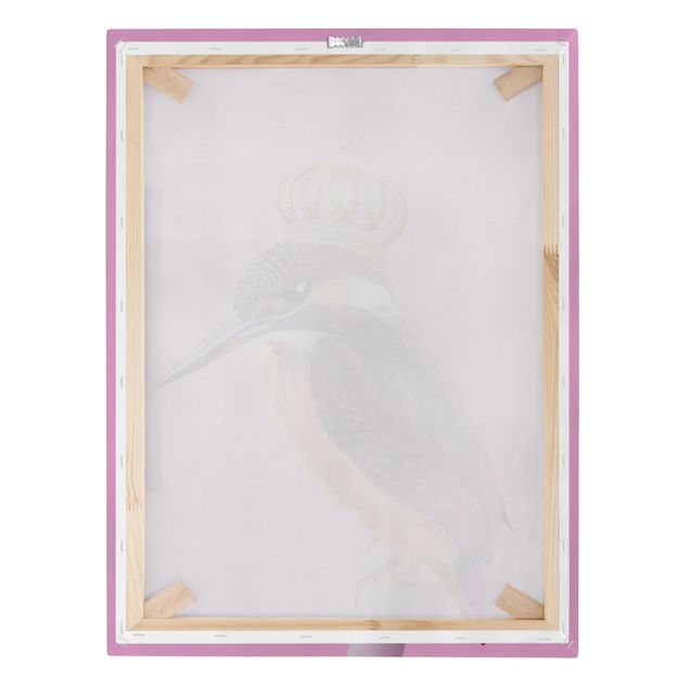 Billeder Pink Kingfisher With Crown
