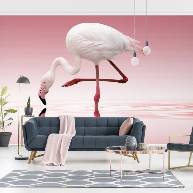 Tapet flamingo Flamingo Dance