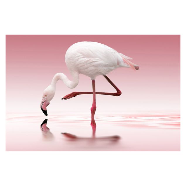 Tapet lyserød Flamingo Dance