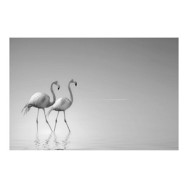 Dyre tapet Flamingo Love Black And White