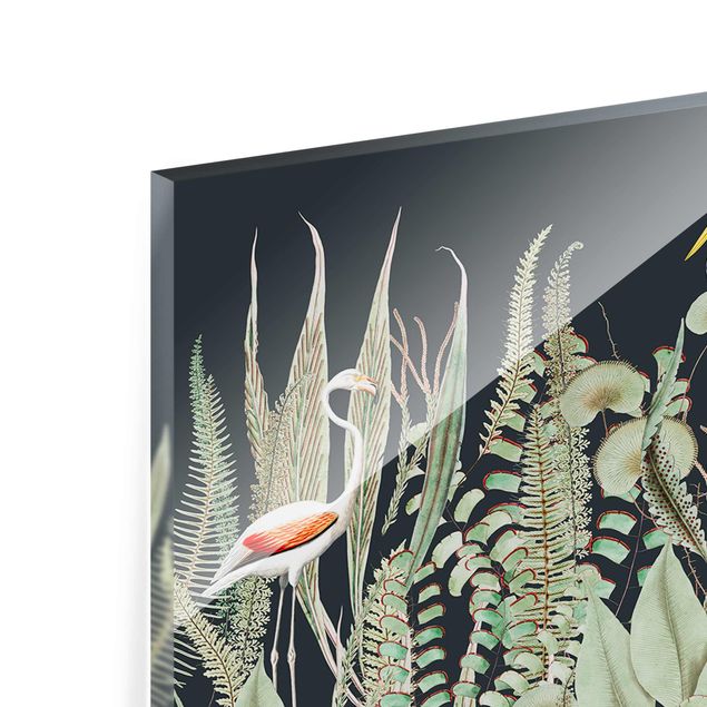 Glas magnettavla Flamingo And Stork With Plants On Green