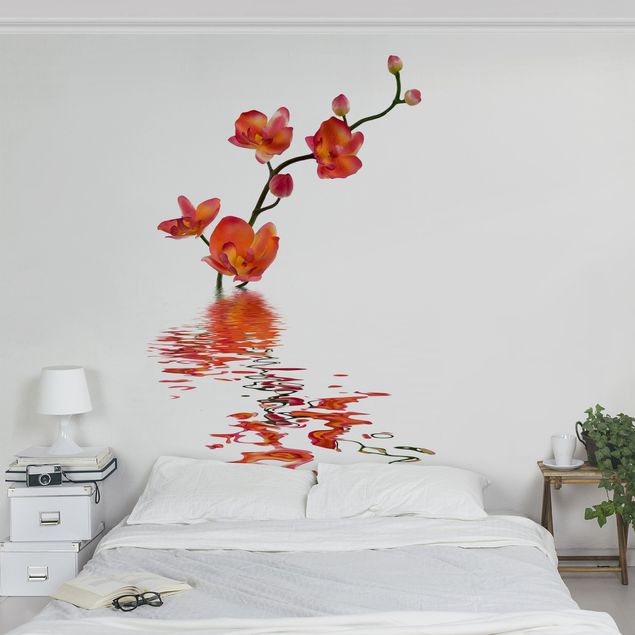 Blomster tapet Flamy Orchid Waters