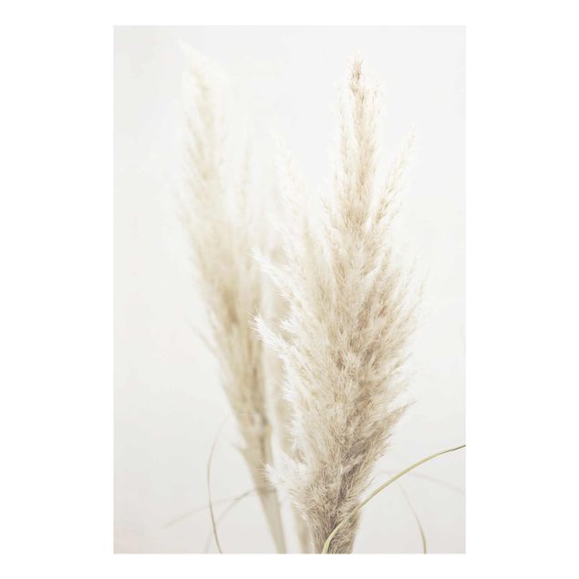 Billeder Monika Strigel Soft Pampas Grass