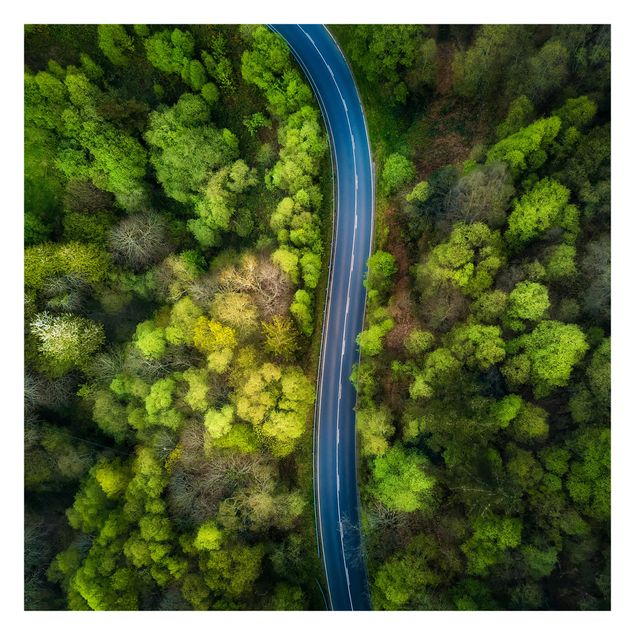 Tapet Aerial View - Asphalt Road In The Forest