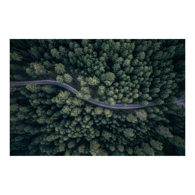 Tapet Aerial View - Forest Road From The Top