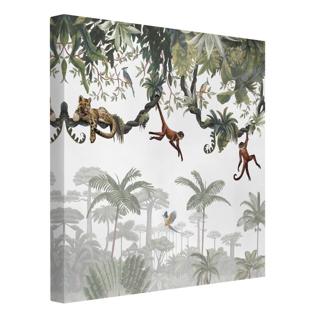 Billeder træer Cheeky monkeys in tropical canopies