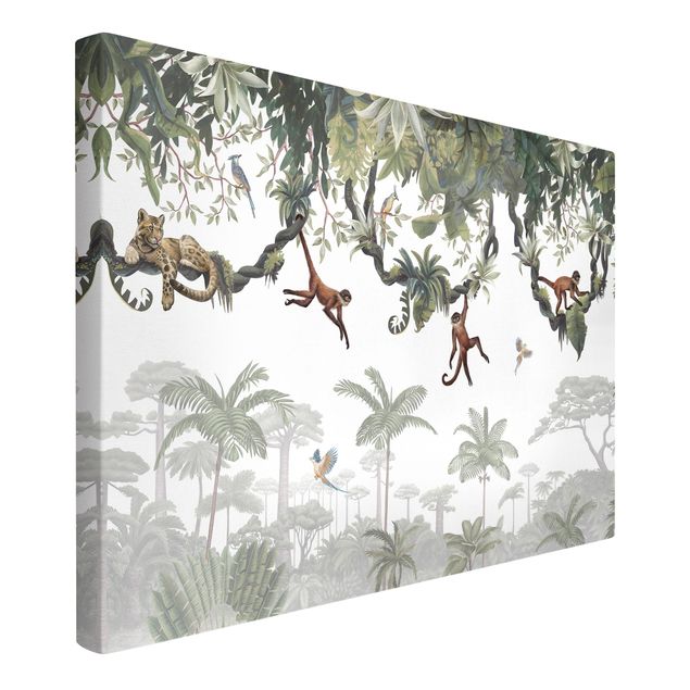 Billeder træer Cheeky monkeys in tropical canopies
