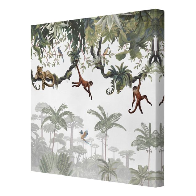 Billeder jungle Cheeky monkeys in tropical canopies
