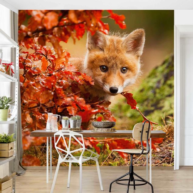 køkken dekorationer Fox In Autumn