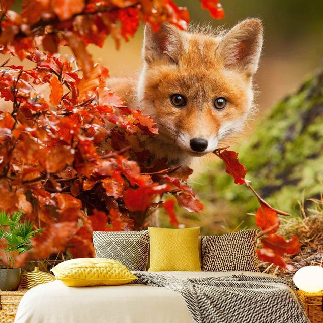 Fototapet landskaber Fox In Autumn