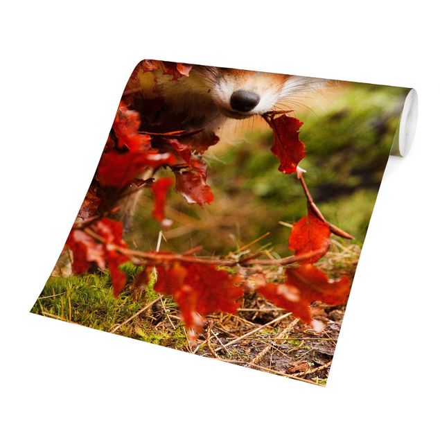 Fototapet orange Fox In Autumn