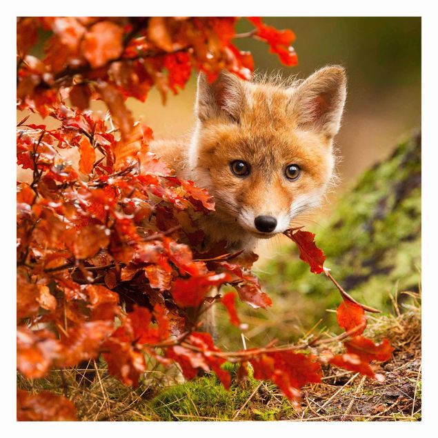 Tapet Fox In Autumn