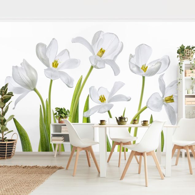 Tapet blomster Five White Tulips