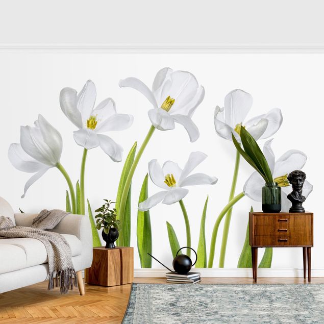 Tapet landlig Five White Tulips