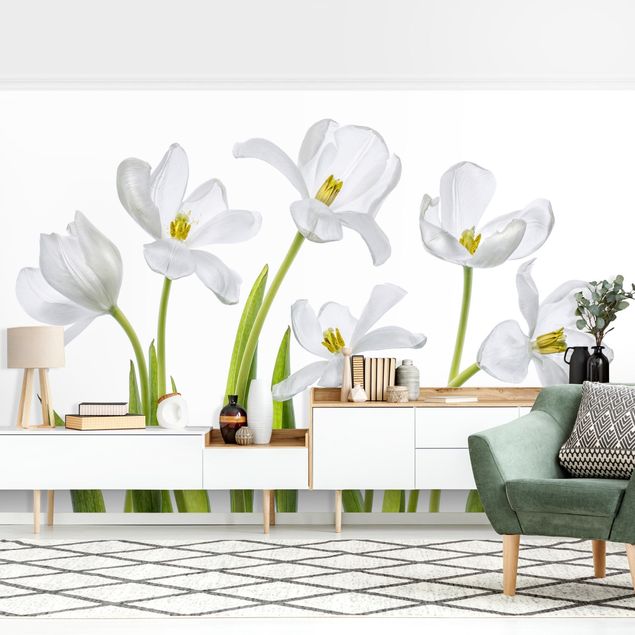 Tapet moderne Five White Tulips