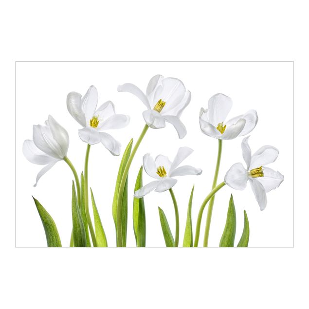 Tapet Five White Tulips