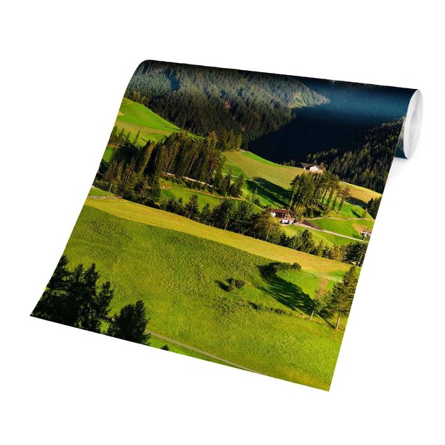 Fototapet skove Odle In South Tyrol