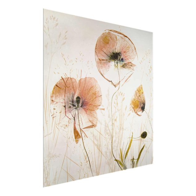 Glasbilleder blomster Dried Poppy Flowers With Delicate Grasses