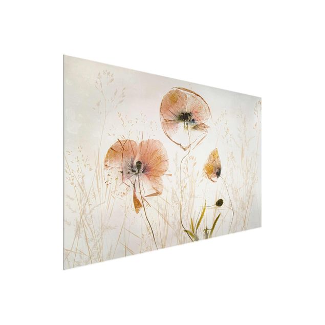 Glasbilleder blomster Dried Poppy Flowers With Delicate Grasses