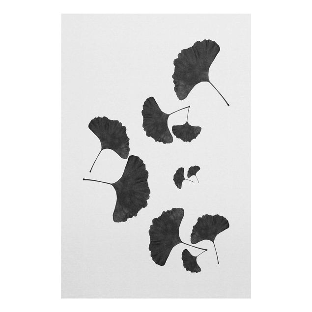 Billeder sort og hvid Ginkgo Composition In Black And White