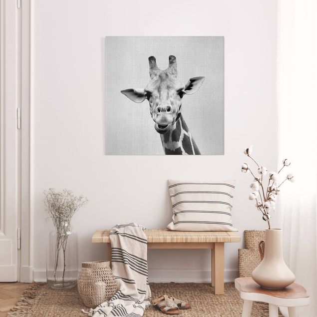 Billeder på lærred giraffer Giraffe Gundel Black And White
