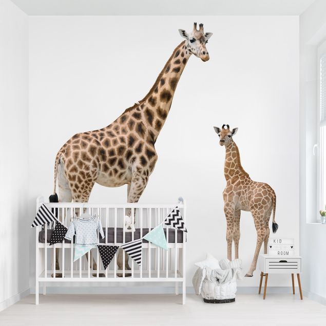 Fototapet giraffer Giraffe Mother And Child