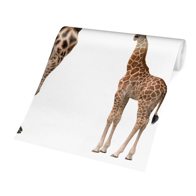 Tapet Giraffe Mother And Child