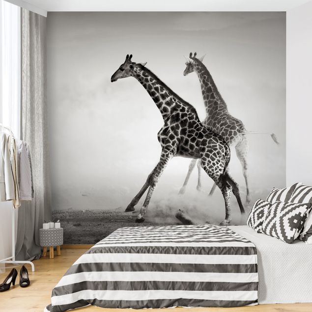 Moderne tapet Giraffe Hunt