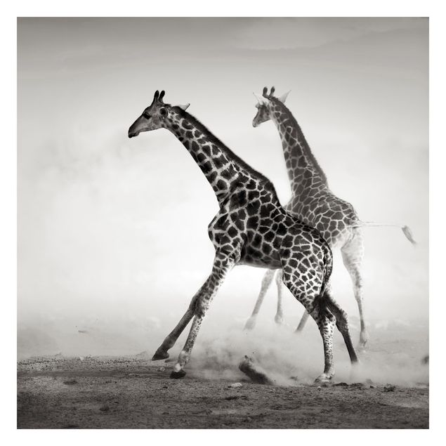 Tapet med dyr Giraffe Hunt