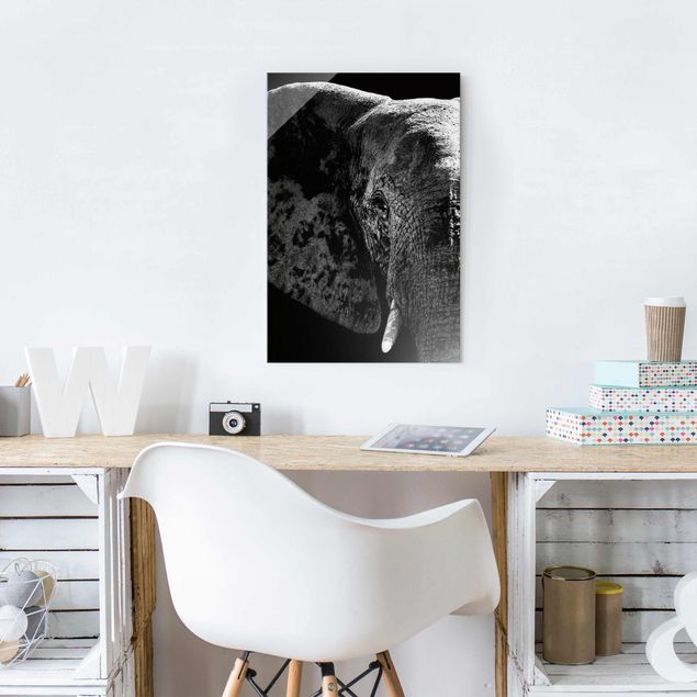Glasbilleder sort og hvid African Elephant black & white