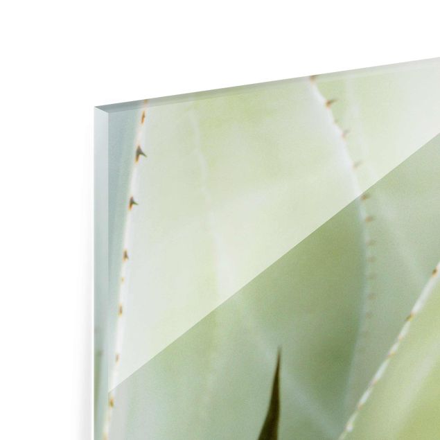 Glas magnettavla Aloe