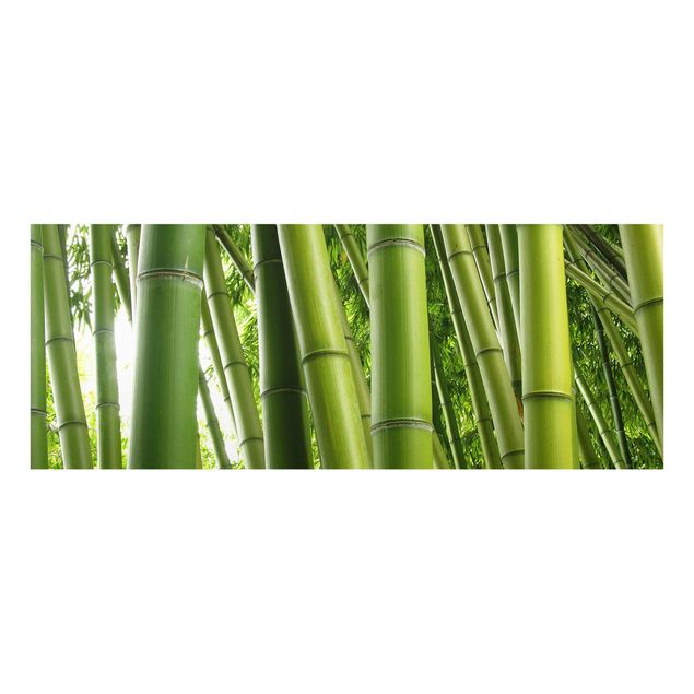 Billeder landskaber Bamboo Trees No.1