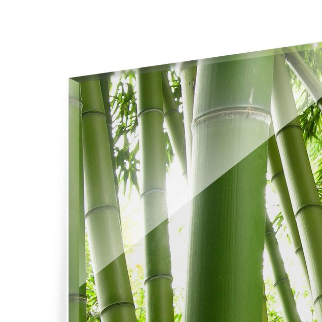Billeder blomster Bamboo Trees No.1