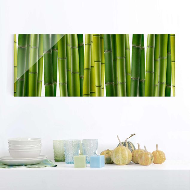 Glasbilleder landskaber Bamboo Plants