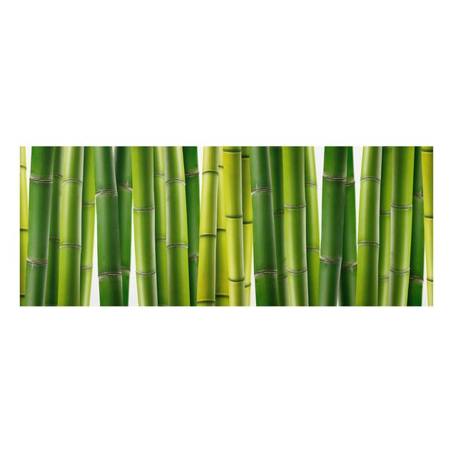 Billeder landskaber Bamboo Plants