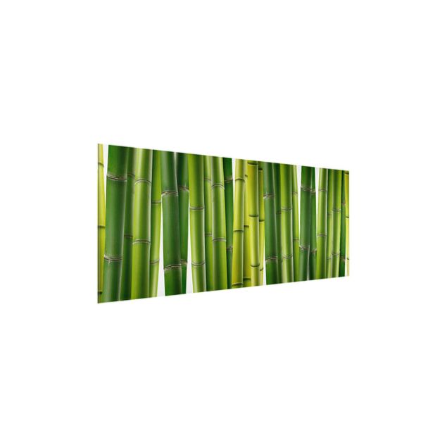 Glasbilleder blomster Bamboo Plants