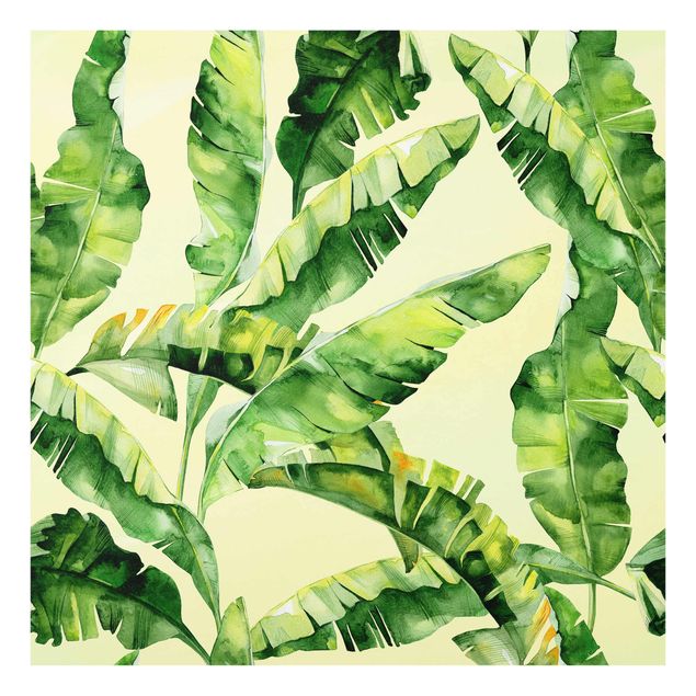 Billeder grøn Banana Leaves Watercolour