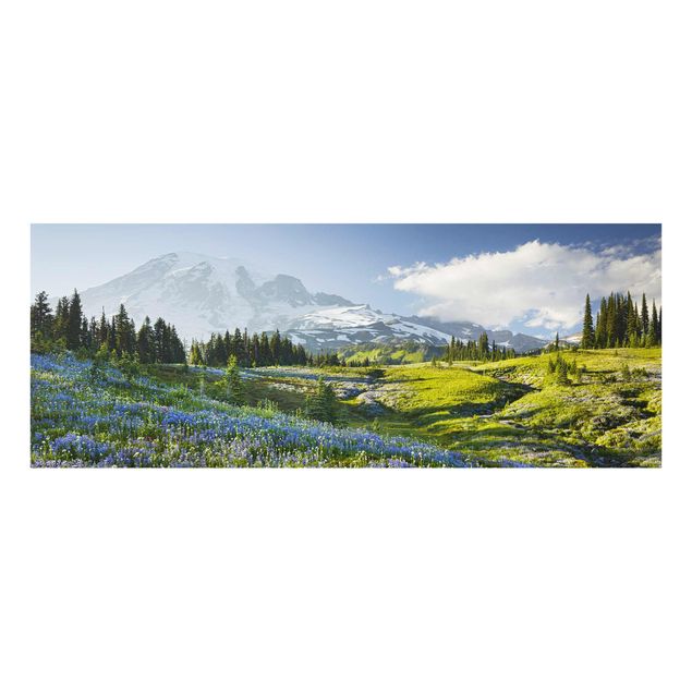 Billeder bjerge Mountain Meadow With Blue Flowers in Front of Mt. Rainier