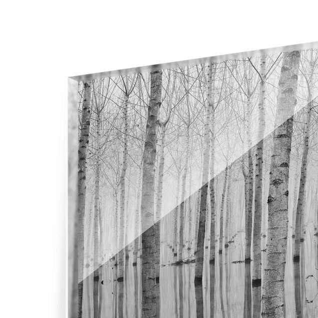 Billeder moderne Birches In November